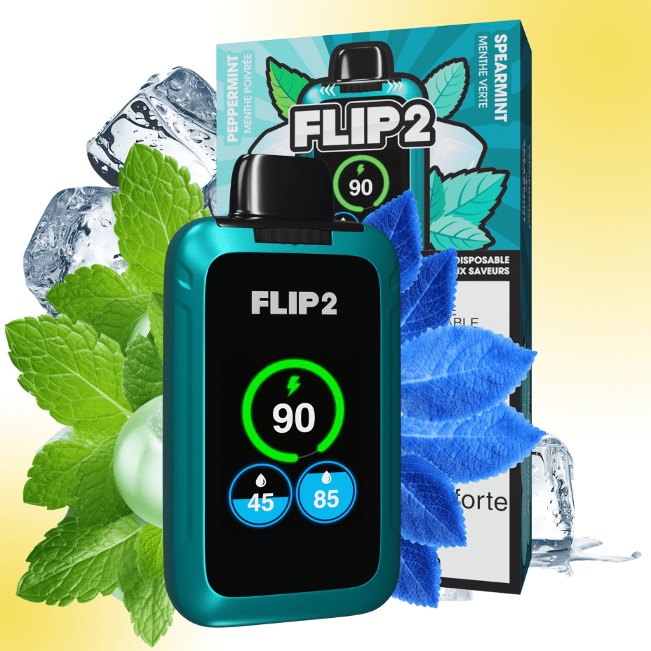 FLIP BAR Disposables 11000 Puffs Flip Bar 2 Disposable Vape-Peppermint and Spearmint Flip Bar 2 Disposable Vape-Peppermint and Spearmint-Vape SuperStore